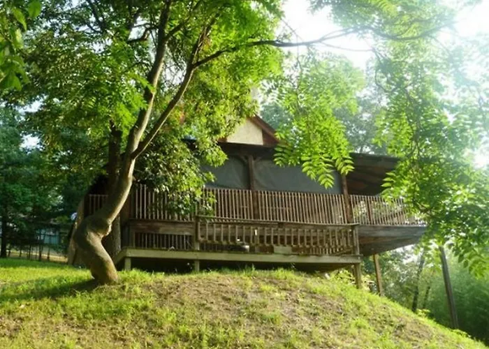 Shenandoah Lodge